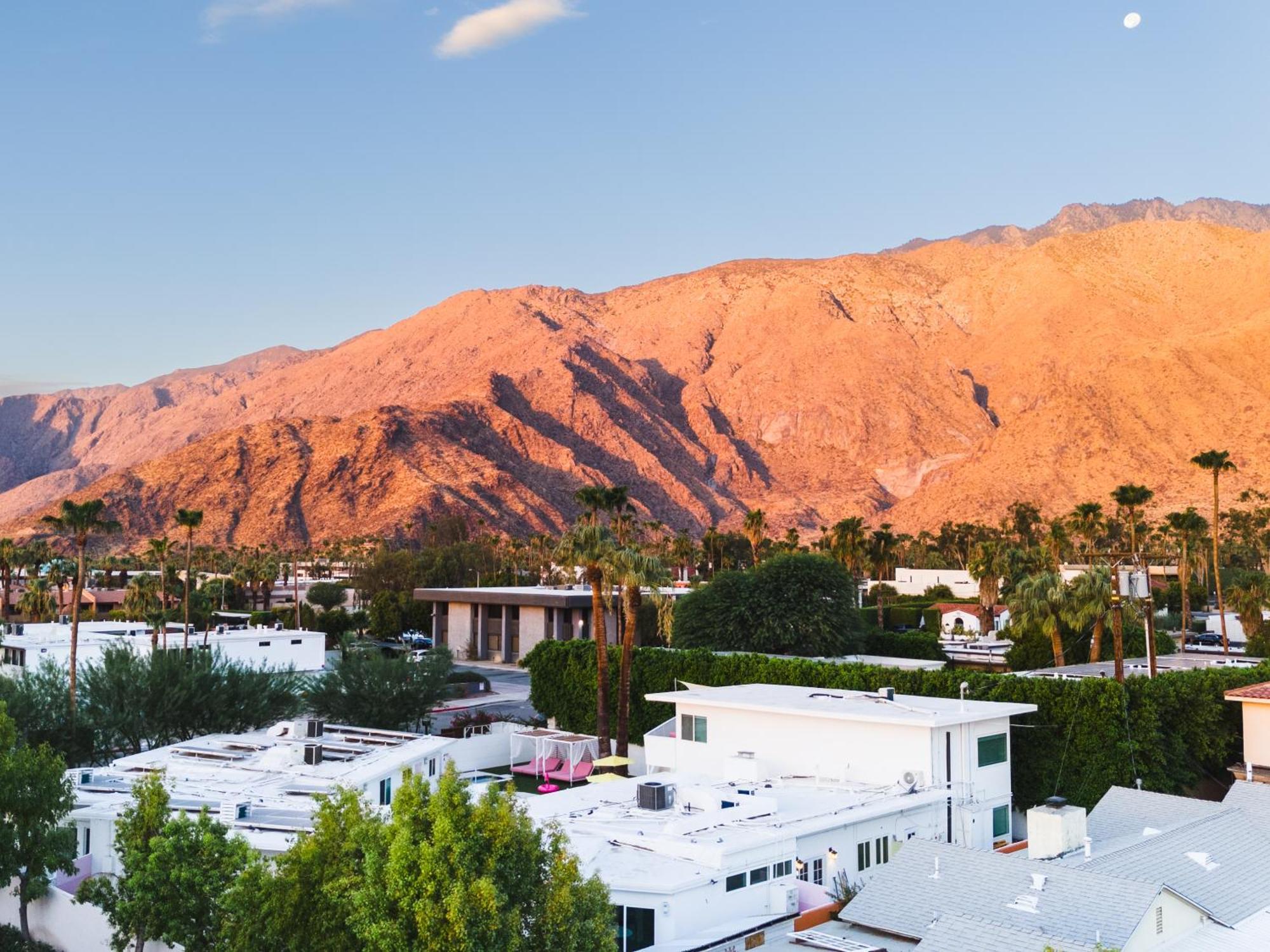 The Cactai Hotel Palm Springs Bagian luar foto